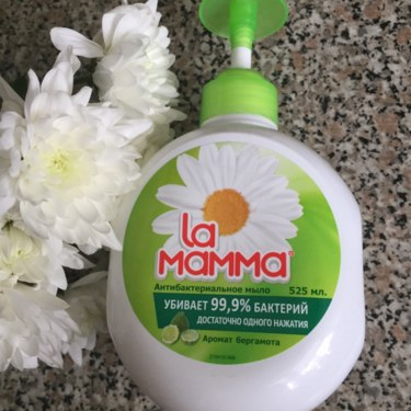 Отзывы антибактериальное мыло Ла Мамма